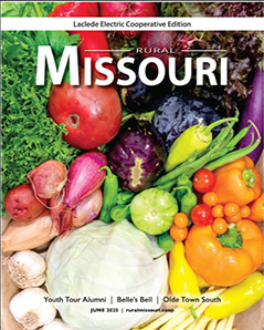 Jan 2021 Cover